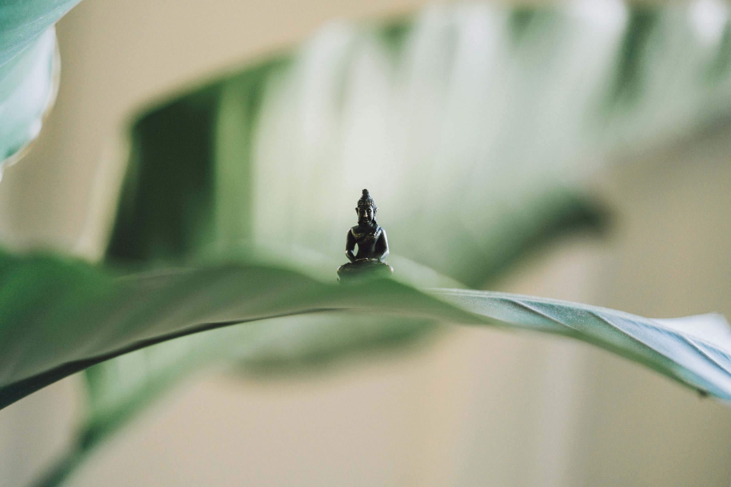 Exposing the spiritual ego.