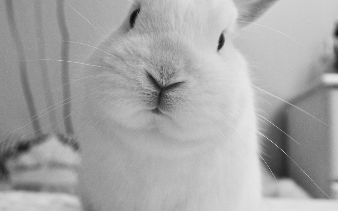 Getting out of the hole.