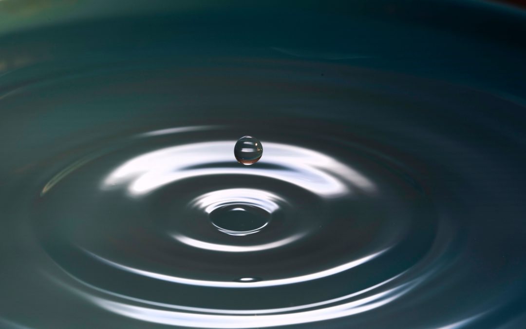 Trying to do nothing.