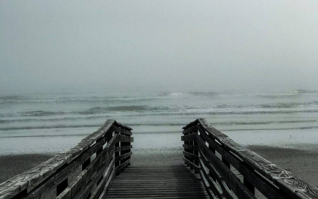 The Art of Shitty Moments.