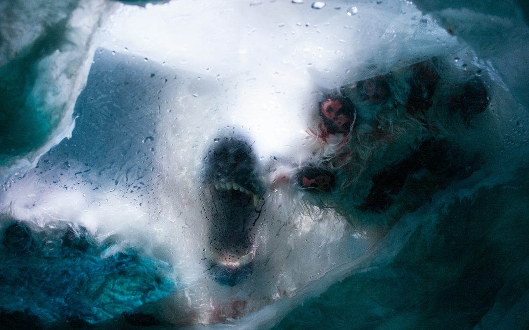 Really BIG problems.