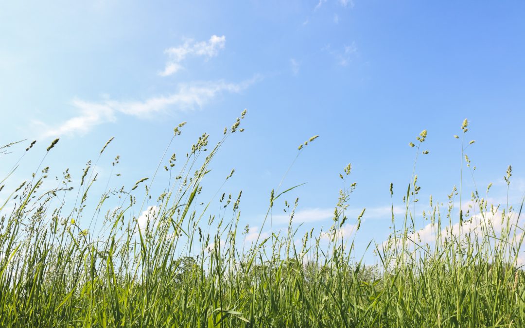 Seeing it, losing it.