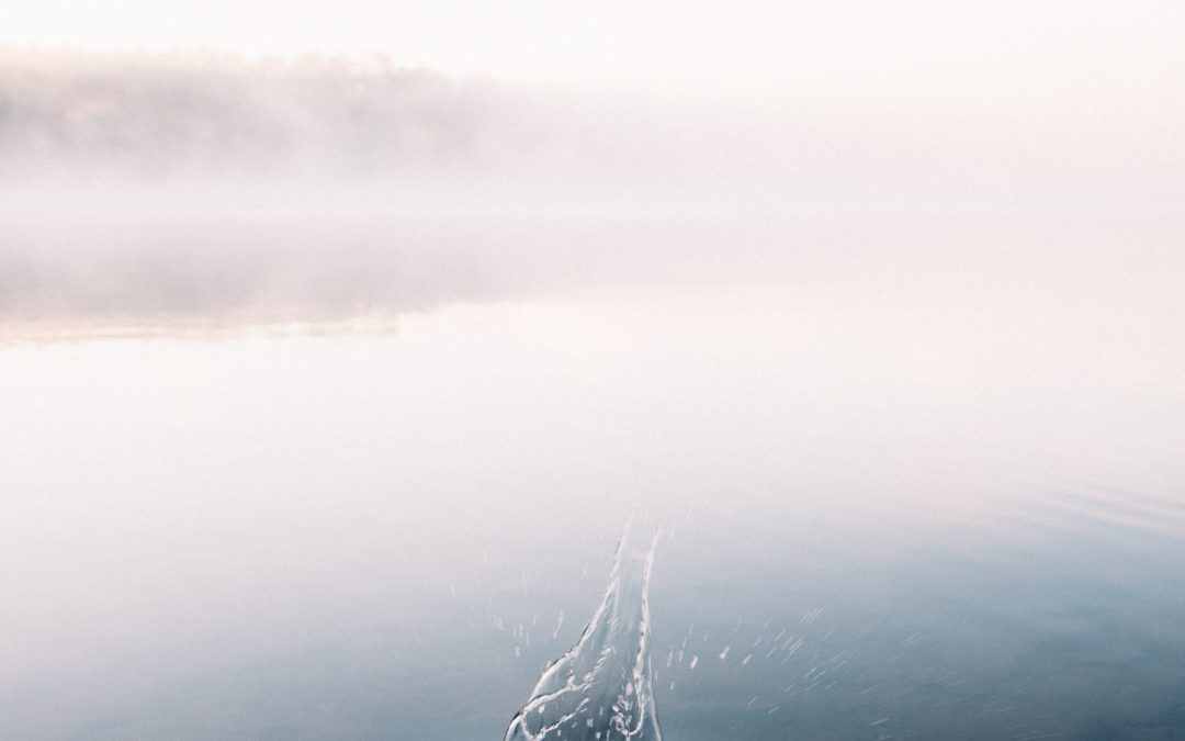 Trying to convince the world.