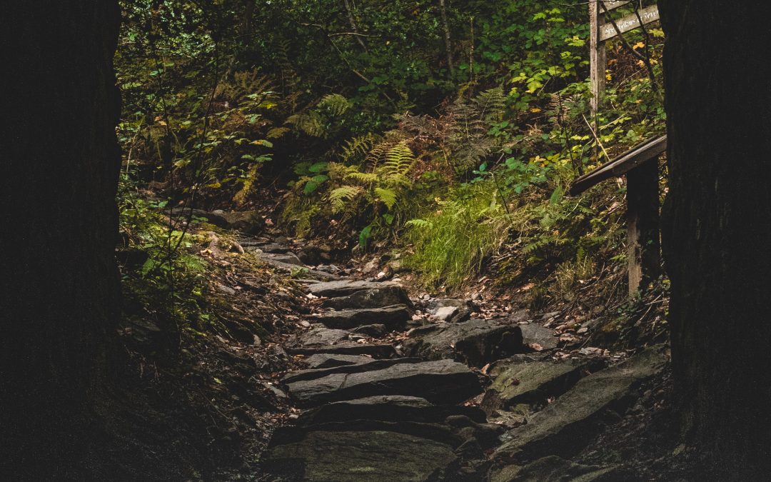 The secret road to freedom.