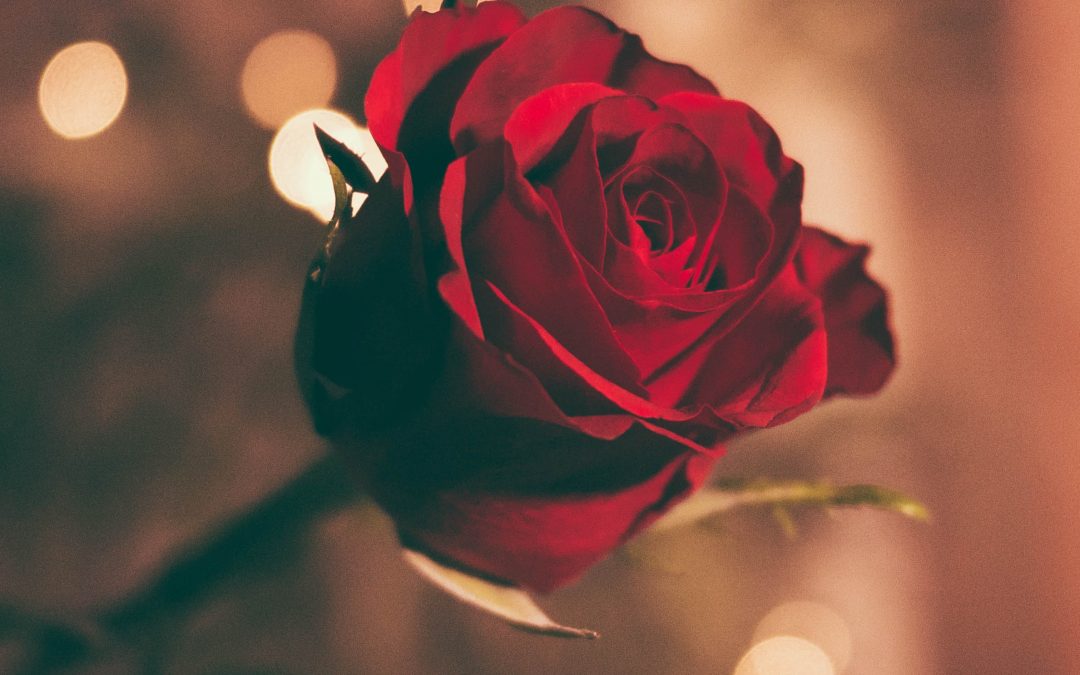 A romance with life.