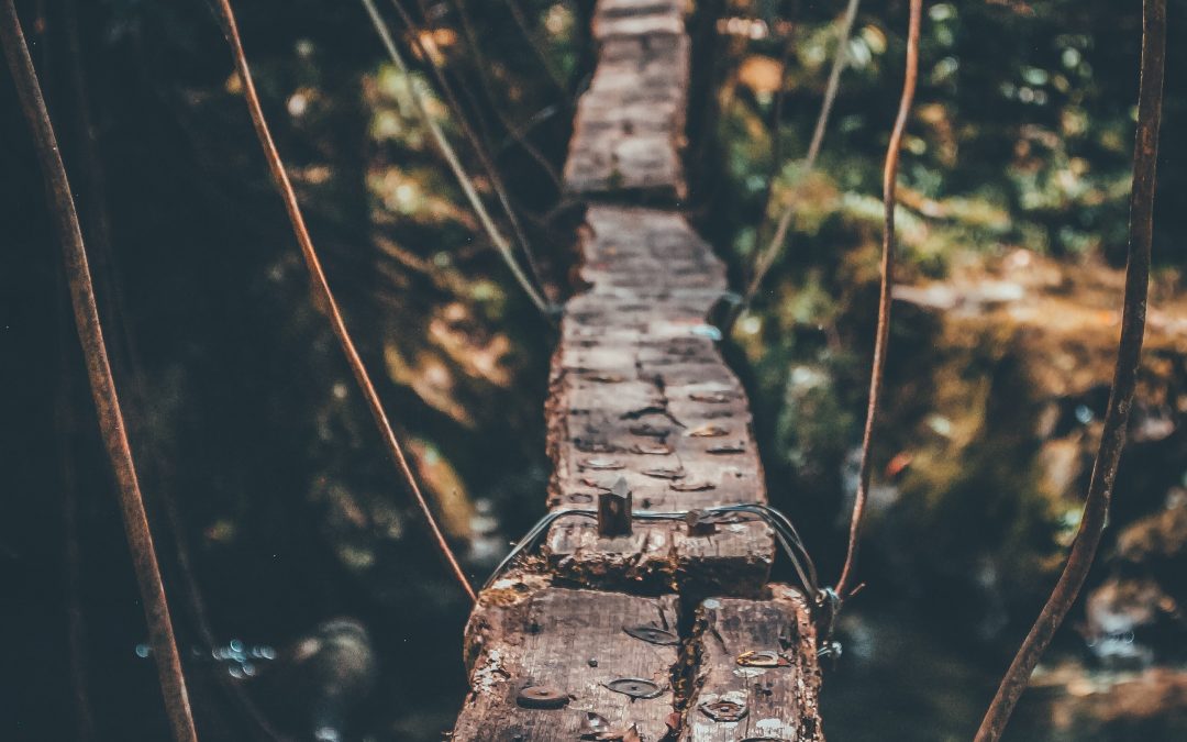 A different seeking.