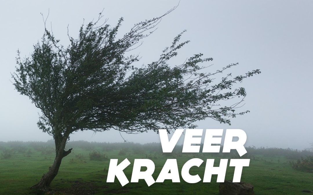 Veerkracht.