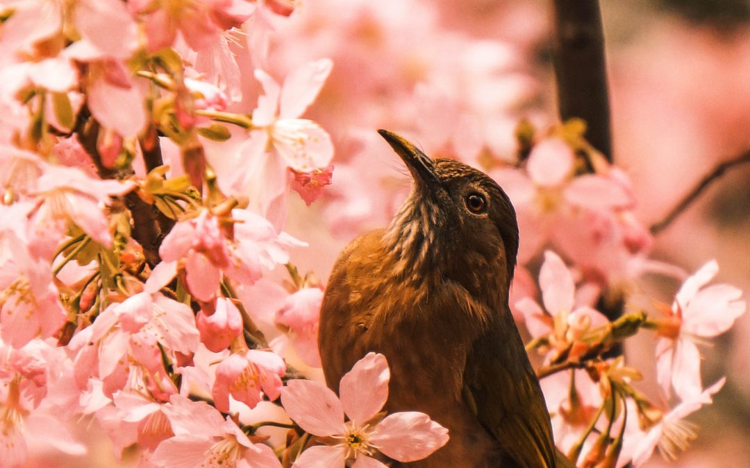 Creating your world.