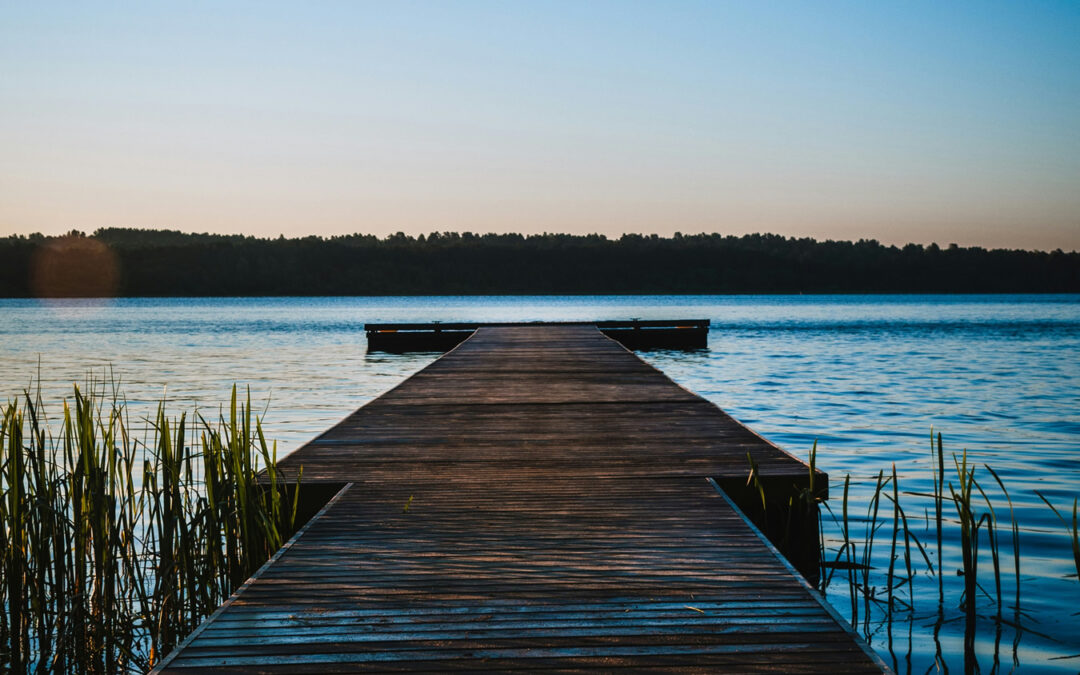 Doen om niet te voelen.