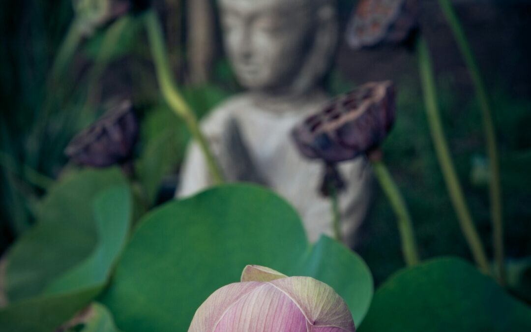 Zoeken naar het onbekende.