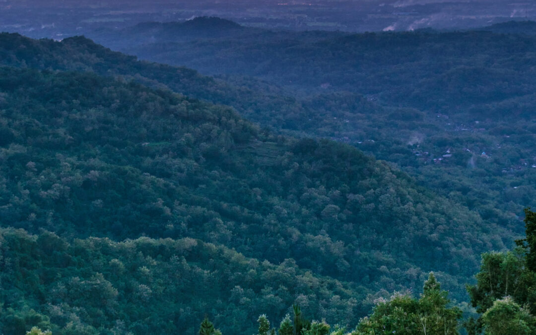 Het leven vóór de dood.